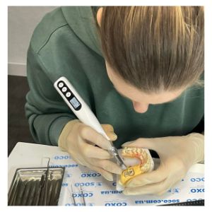 "Первинне ендо" Ігоря Ноєнко (майстер-клас)