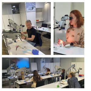 foto-endo-power-vladimira-fedaka-lekcziya